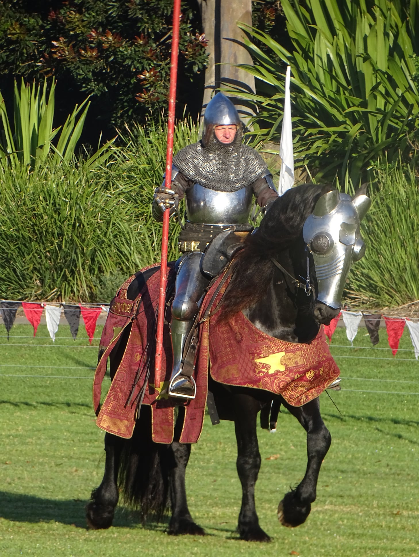 Black Flat Freisian and Warlanders - Breeding, Mediaevil Skill at Arms and Equine Lower Limb Confirmation and Hoof Trimming Jousting Stallion