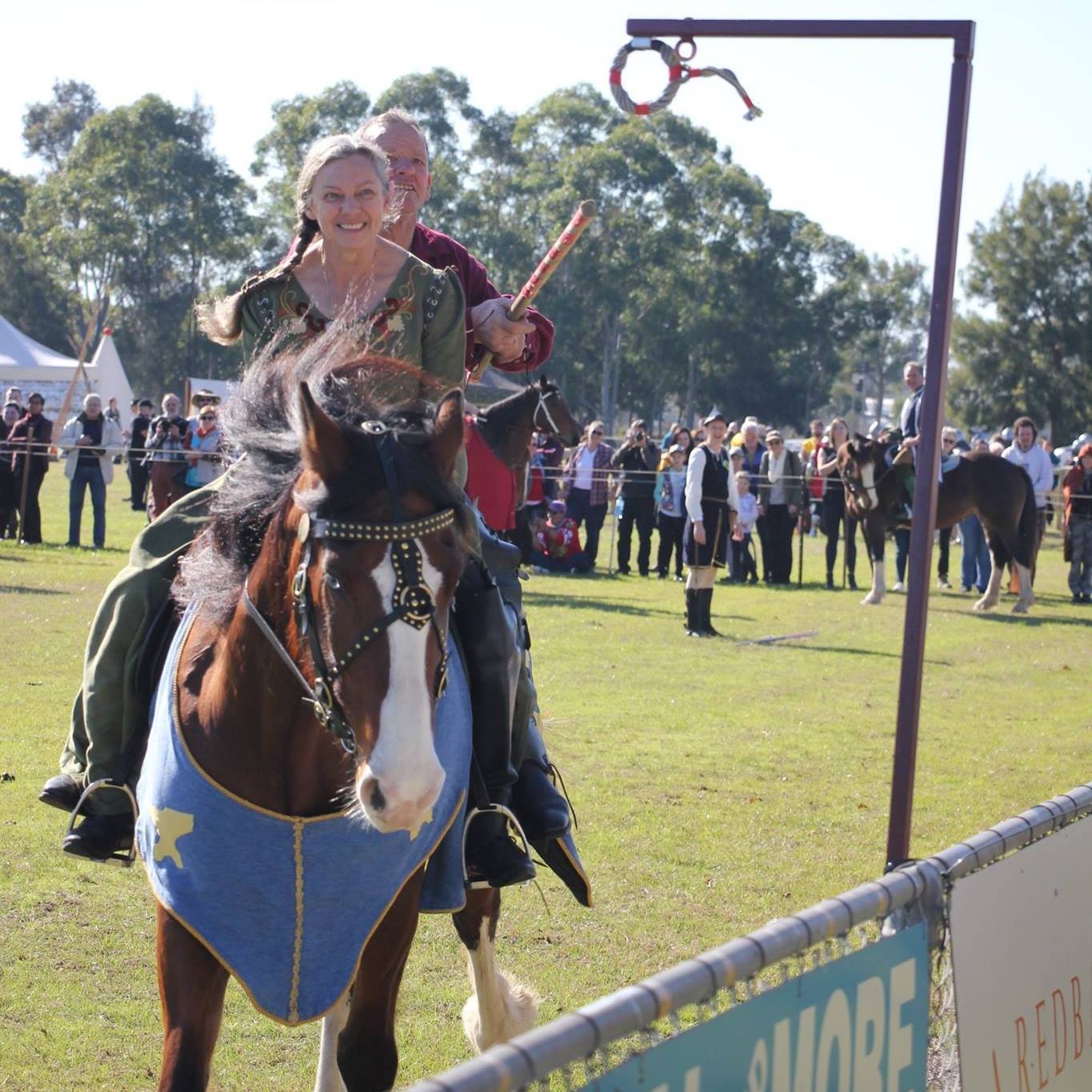 Friesian and Warlander Horses