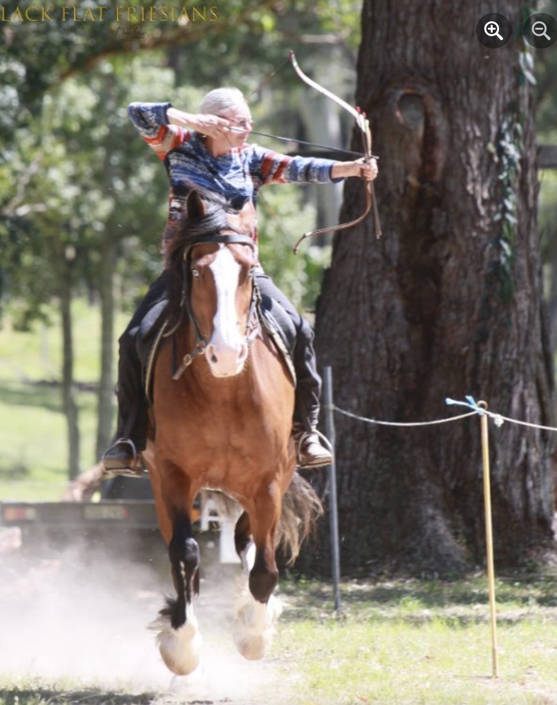 Horseback Archery Skill at Arms