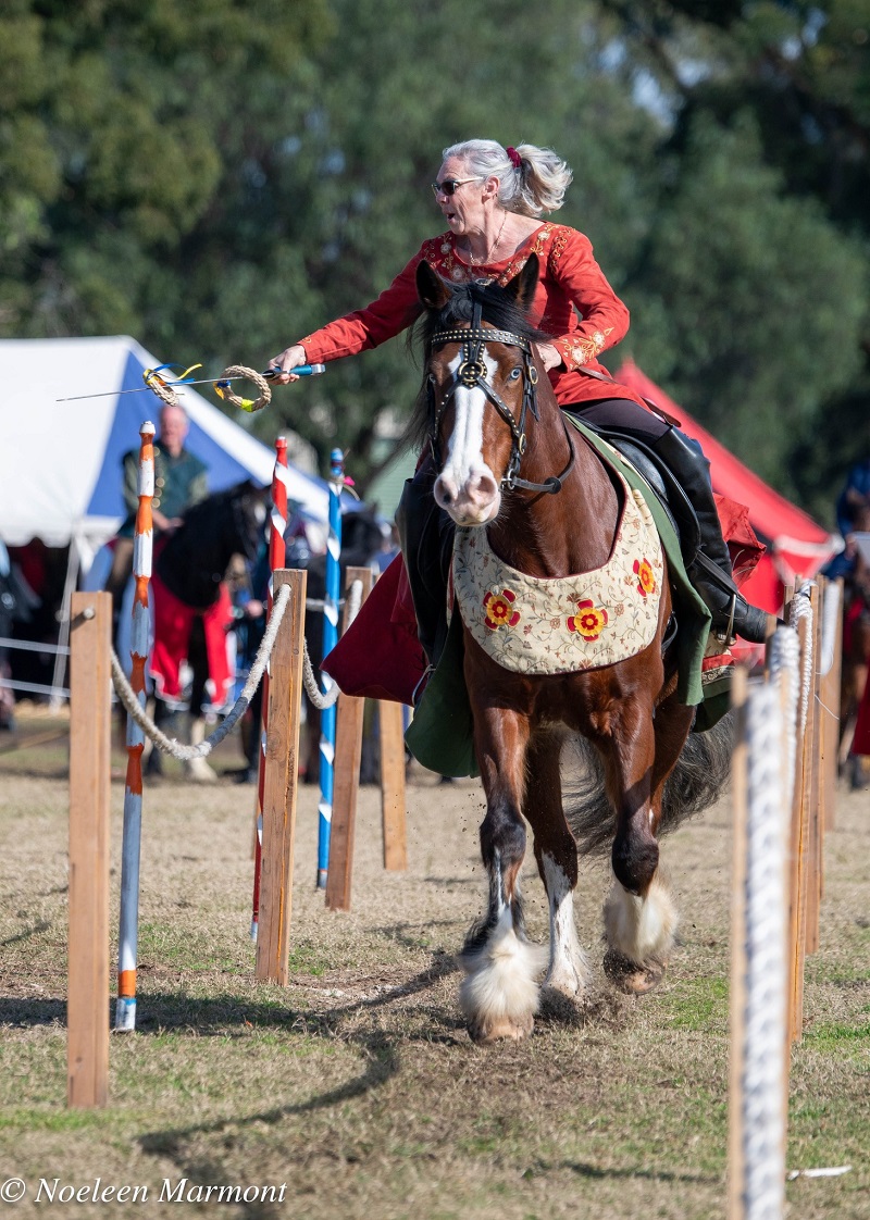 Mediaeval Skill At Arms
