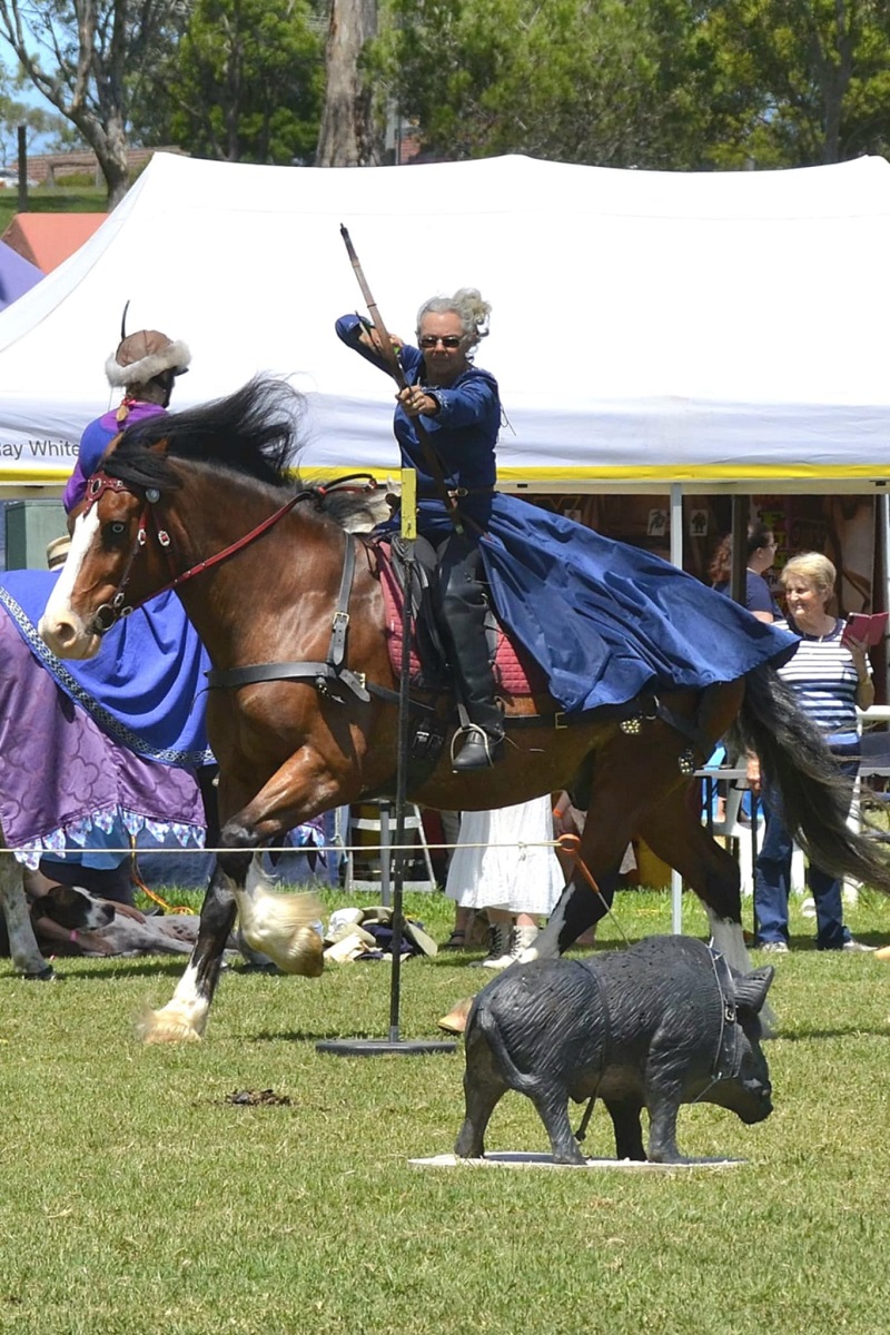 Mediaeval Skill at Arms Horse back Archery Black Flat Friesian and Warlander Horses